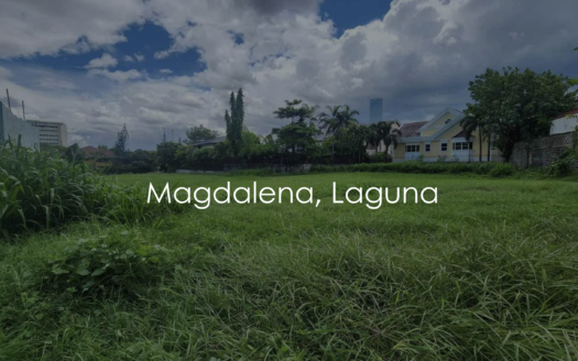 304,599 SQM Farm Vacant Lot for Sale in Brgy. Malaking Amling, Magdalena, Laguna