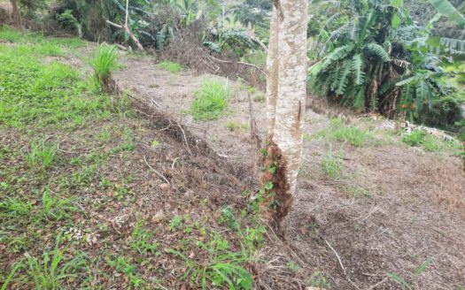 313 SQM Vacant Lot for Sale in Racha Mansion, Inchican, Silang, Cavite