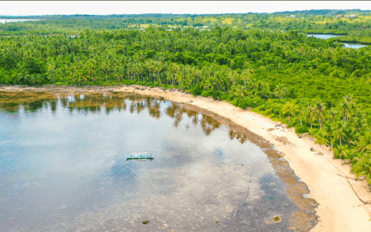 Massive 96,202 SQM Vacant Island for Sale in Pilar, Siargao, Surigao del Norte