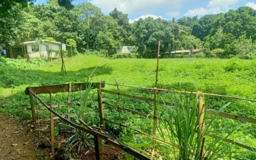 4,000 SQM Vacant Lot for Sale in San Luis, Antipolo