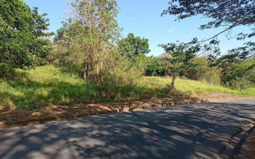 1,200 SQM – 1,900 SQM Vacant Lot for Sale in Valley Golf Subdivision, Cainta, Rizal