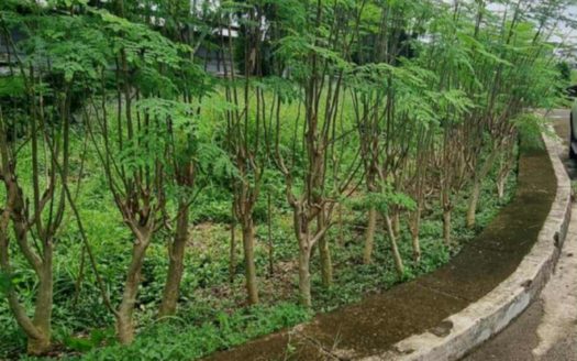 164 SQM Vacant Lot for Sale in Greenwoods Executive Village, Pasig City