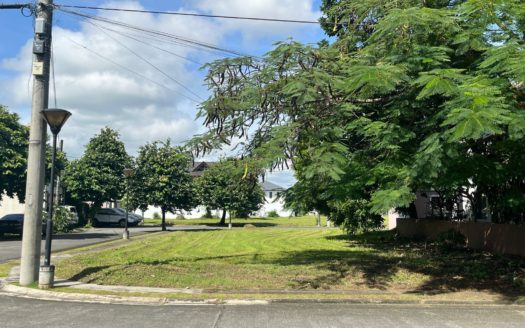 228 SQM Prime Residential Lot for Sale in Verdana Homes Mamplasan, Biñan, Laguna