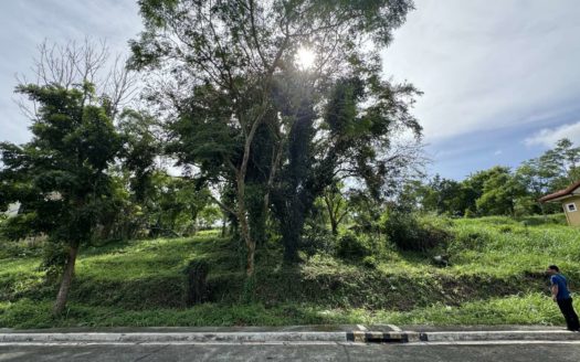 290 SQM Vacant Lot for Sale in Splendido, Laurel, Batangas