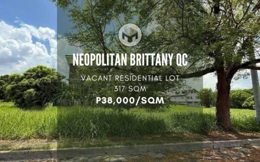 317 SQM Vacant Lot for Sale in Neopolitan Brittany, Quezon City