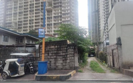 334 SQM Vacant Lot for Sale in Lakeview Drive, Pasig