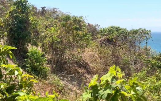 35,833 SQM Scenic Vacant Lot for Sale in Binduyan, Puerto Princesa, Palawan