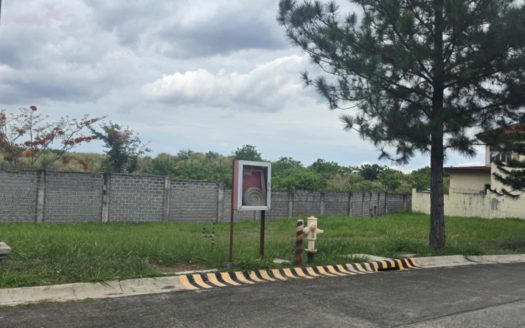 367 SQM Vacant Lot in Portofino Heights, Las Piñas