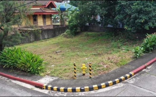 367 SQM Vacant Lot for Sale in Tivoli Greens, Old Balara, Quezon City