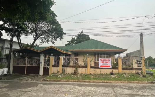 560 SQM Selling at Lot Value in Capitol Homes, Matandang Balara, Quezon City