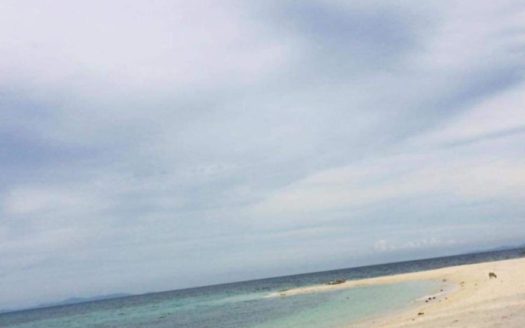Island Beach Lot for Sale in San Vicente, Northern Samar