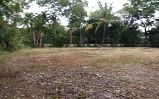 1,137 SQM Rare Sought-After Corner Vacant Lot in Ayala Alabang, Muntinlupa