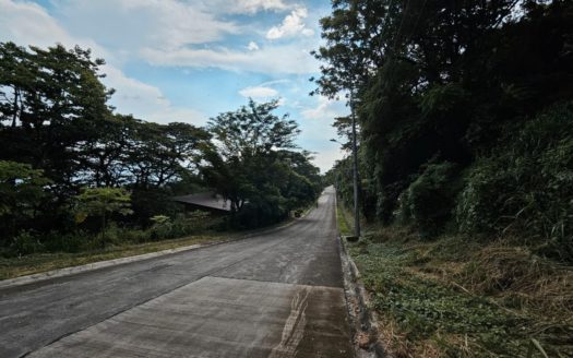 1,149 SQM Vacant Lot for Sale in San Isidro, Angono, Rizal