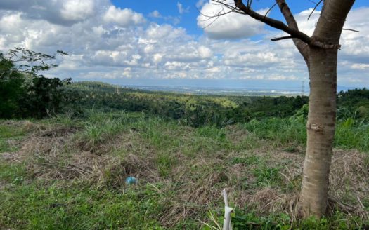 698 SQM Vacant Lot for Sale in Tagaytay Highlands, Calamba, Laguna