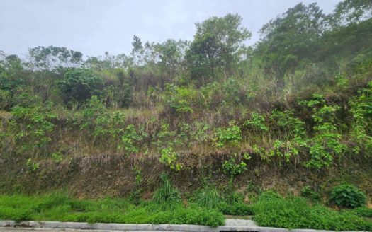 741 SQM Vacant Lot for Sale in Monterazas The Peak, Cebu