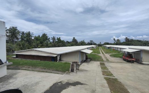 13,000 SQM Income Generating Poultry Farm for Sale in San Luis, Batangas