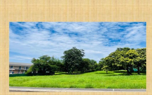 520 SQM Vacant Lot for Sale in Anvaya Cove, Morong, Bataan