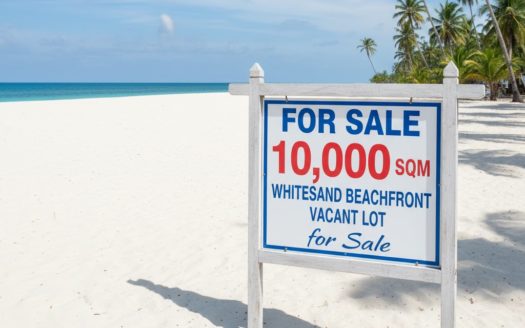 10,000 SQM Whitesand Beachfront Vacant Lot for Sale in Sta. Cruz, Zambales