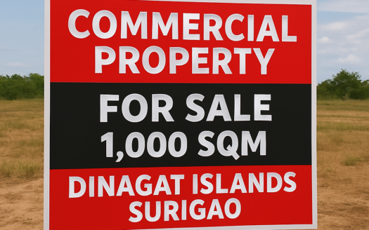 1,000 SQM Commercial Property for Sale in Dinagat Island, Surigao City