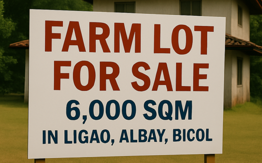 6,000 SQM Farm Lot for Sale in Ligao, Albay, Bicol