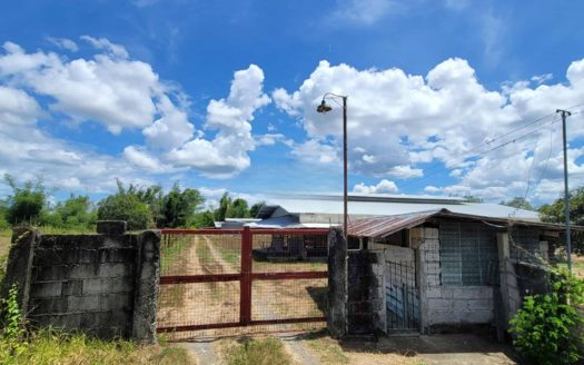 43,939 SQM Poultry Farm for Sale in San Miguel, Bulacan