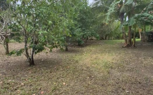 20,001 SQM Vacant Lot for Sale in Puerto Princessa, Palawan