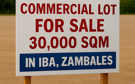 30,000 SQM Commercial Lot for Sale in Iba, Zambales