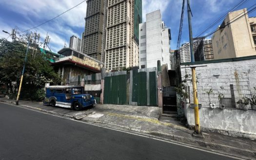 325 SQM Commercial Lot for Sale in Mandaluyong City