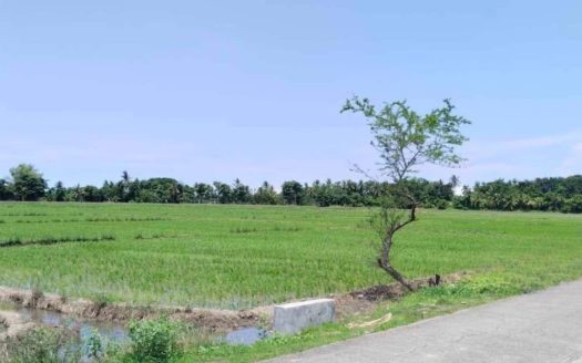 500,000 SQM Commercial Lot for Sale in Occidental, Mindoro